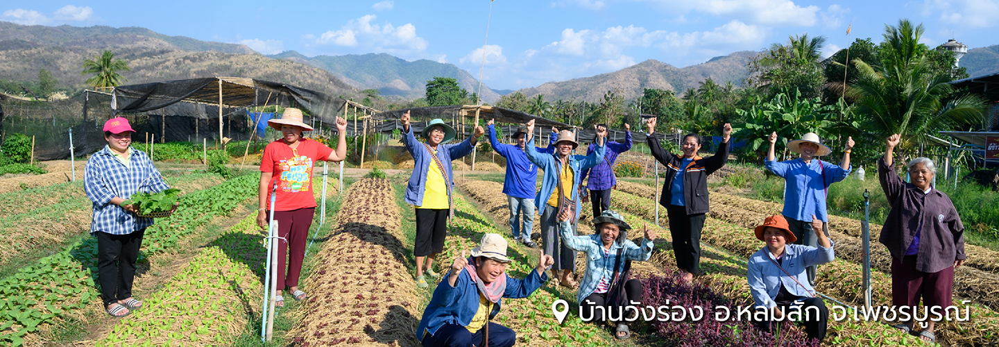 กลุ่ม พีจีเอส หจก.ผักอินทรีย์วังร่องร่วมใจ จ.เพชรบูรณ์