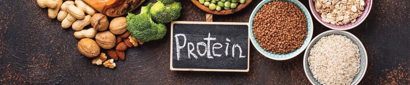 โปรตีนสูง (High Protein)