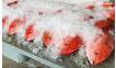 ปลาอันดามัน Wild Fish สด สะอาด ตั้งแต่ต้นทางถึงมือคุณ