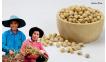 ถั่วเหลืองเกษตรอินทรีย์ (Non-GMOs) 