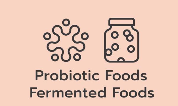 โพรไบโอติก (Probiotic Foods) & อาหารหมักธรรมชาติ (Fermented Foods)