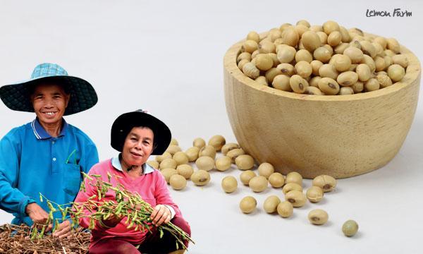 ถั่วเหลืองเกษตรอินทรีย์ (Non-GMOs) 