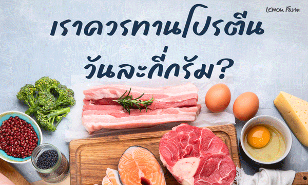 เราควรทานโปรตีนวันละกี่กรัม?