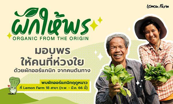 ผักให้พร