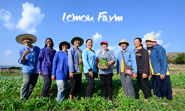 กลุ่มเกษตรรายย่อย Lemon Farm Organic PGS