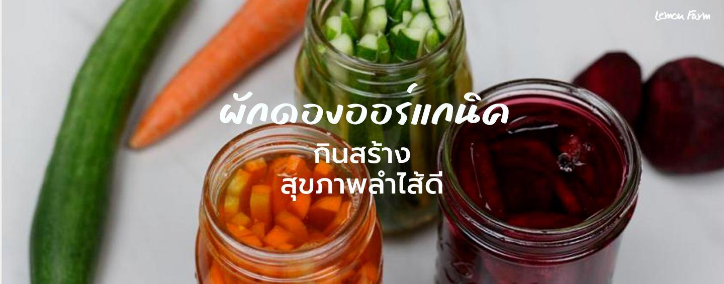 ผักดองออร์แกนิค กินสร้างสุขภาพลำไส้ดี