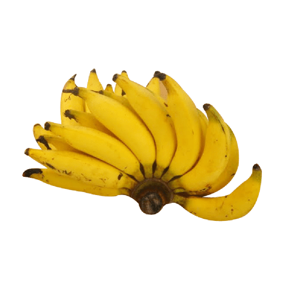 Pesticide Free Lady Finger Banana