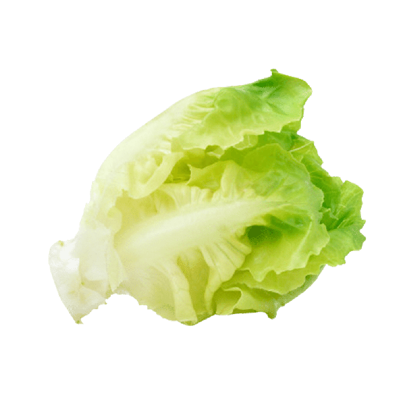 สลัดคอสเบบี้เกษตรอินทรีย์150 g