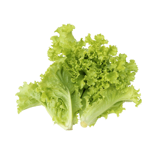 Organic Lettuce 150 g