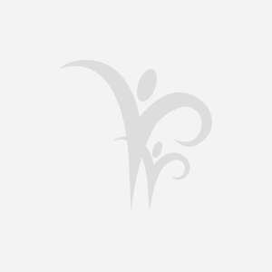 น้ำใบเตย ZeroCal by DJ Poom 350 ml