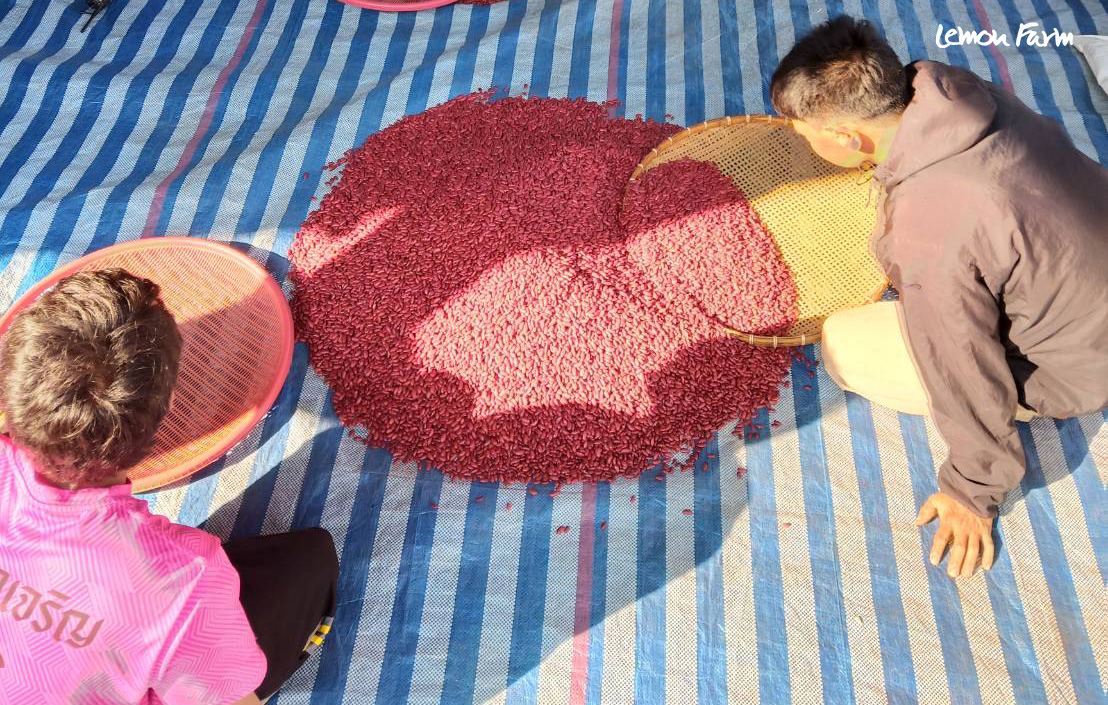 blog_garin_red_black3