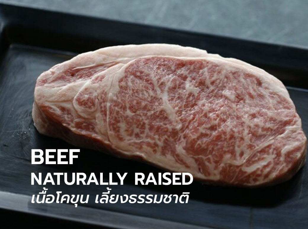 🐂เนื้อโคขุนเลี้ยงธรรมชาติ