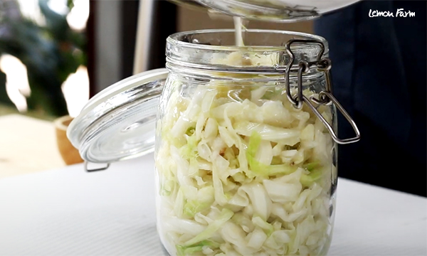 🥬กะหลํ่าปลีหมักสไตล์เยอรมัน