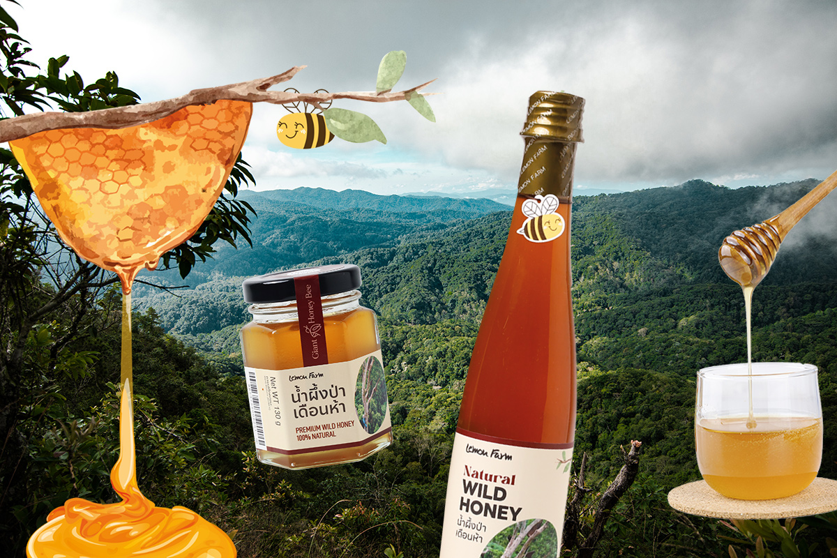 นํ้าผึ้งป่าเดือนห้า ของขวัญจากธรรมชาติที่ช่วยให้เชียงราย มีอากาศดีหายใจ