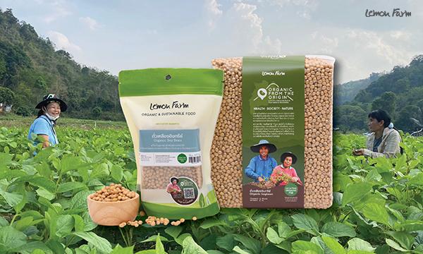 ถั่วเหลือง Organic ธัญพืชเม็ดเล็กๆ ที่พลิกชุมชนป่าต้นนํ้าไม่ให้แห้งแล้ง