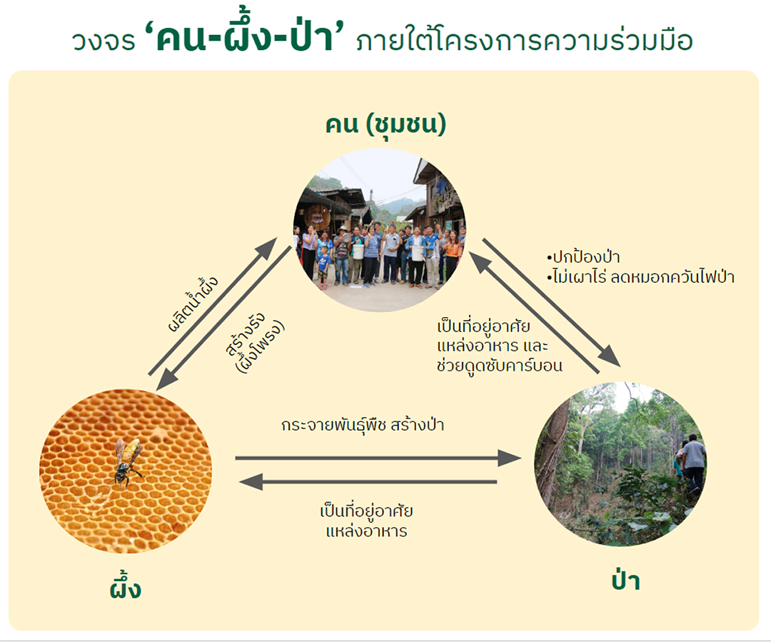 organic_wild_honey03_1