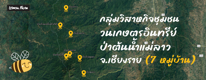 organic_wild_honey07