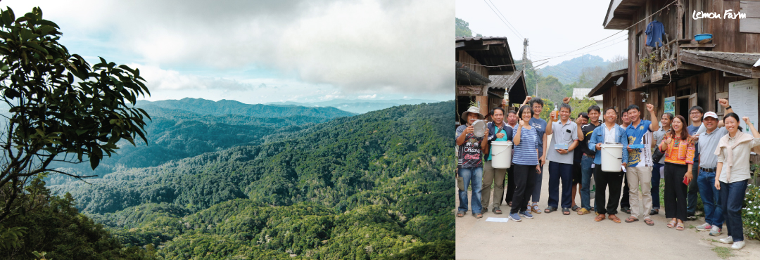 organic_wild_honey08