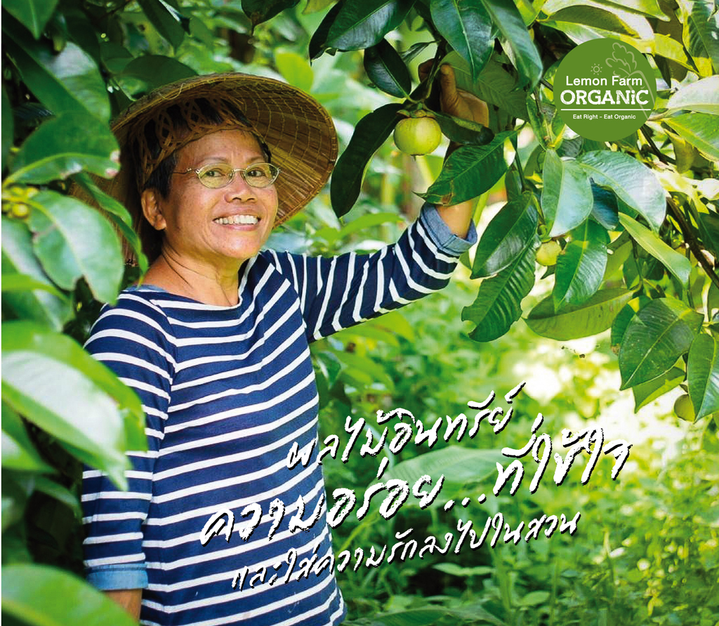 เงาะ&มังคุด ความอร่อย…ที่ใช้ใจ และใส่ความรักลงไปในสวน