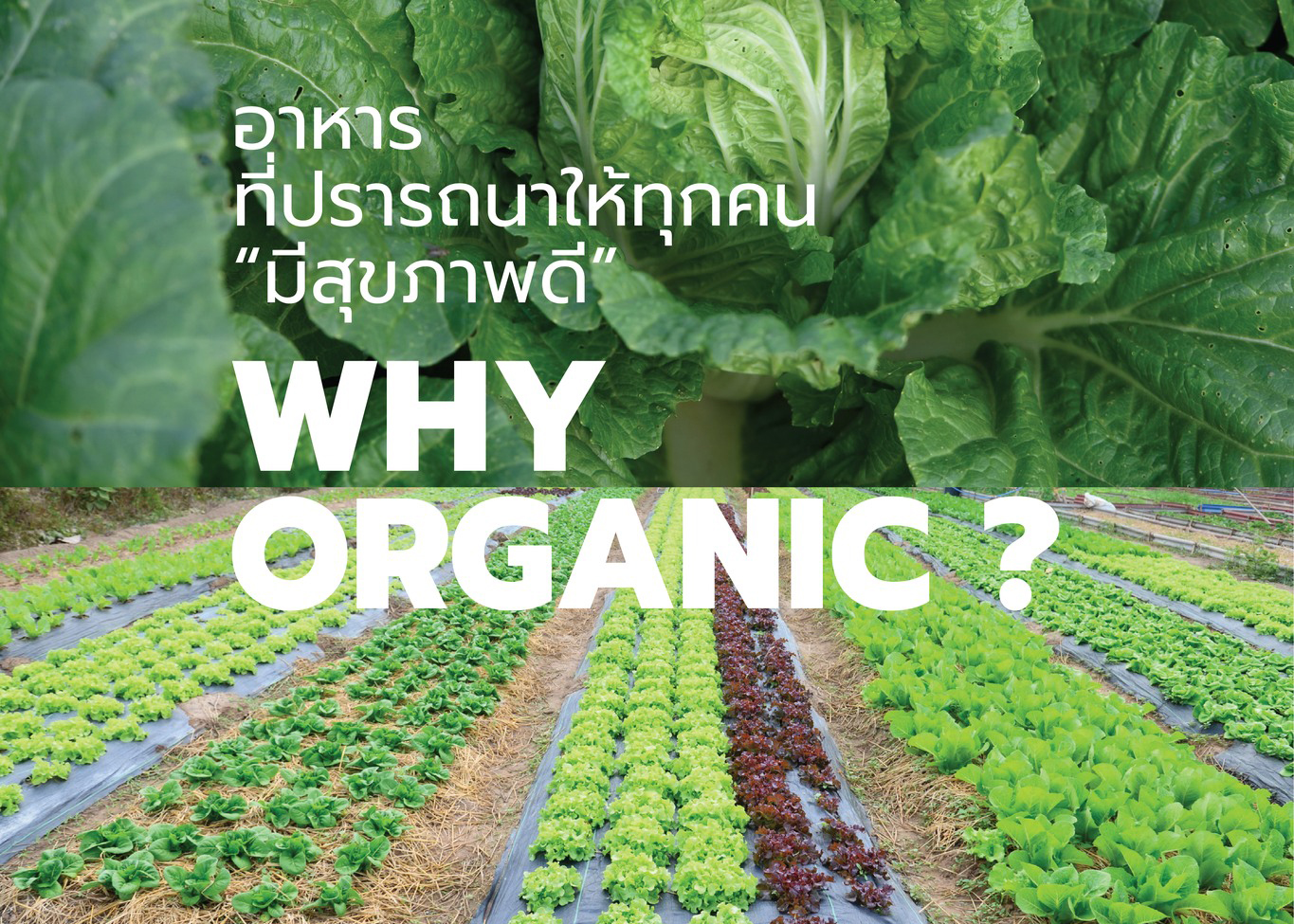 why-organic