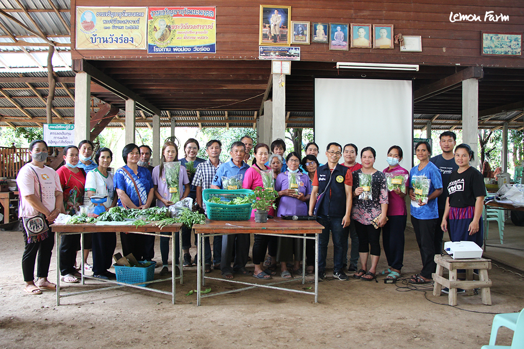 กลุ่ม พีจีเอส หจก.ผักอินทรีย์วังร่องร่วมใจ จ.เพชรบูรณ์ (#6702)