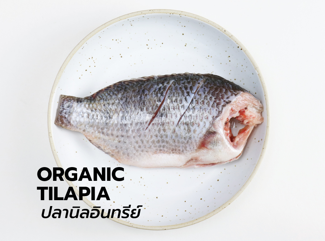 cover-tilapia68