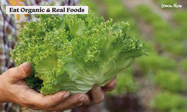 Organic Eat Real Foods