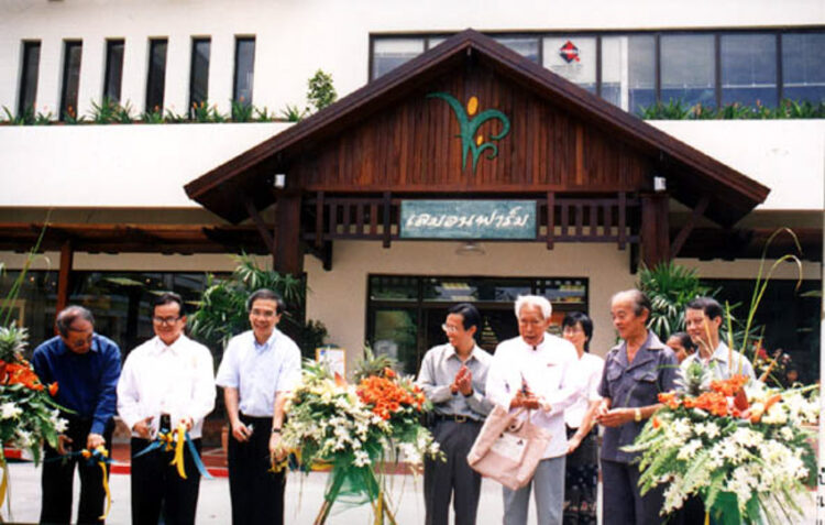 lemon-farm-99-750x477